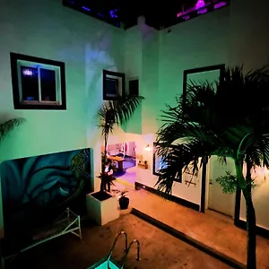 Tribe Jungle & Flamingo Bayahíbe